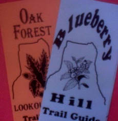 Pamphlets
